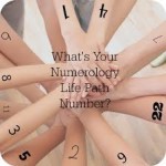 Understanding How The Numerology Numbers Work