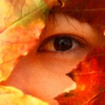 5 Things You Should Know About Spirit Guides