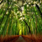 5 Easy Ways to Enhance Your Spirituality