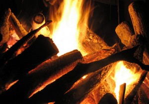 3156713699_d6ceb0eed6_z